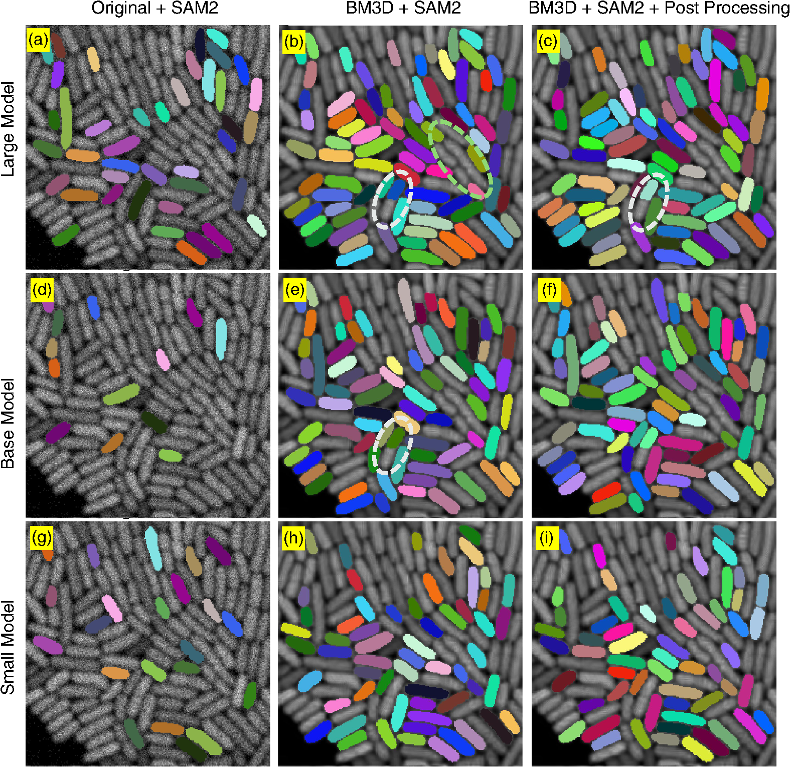 AI-driven micro-segmentation