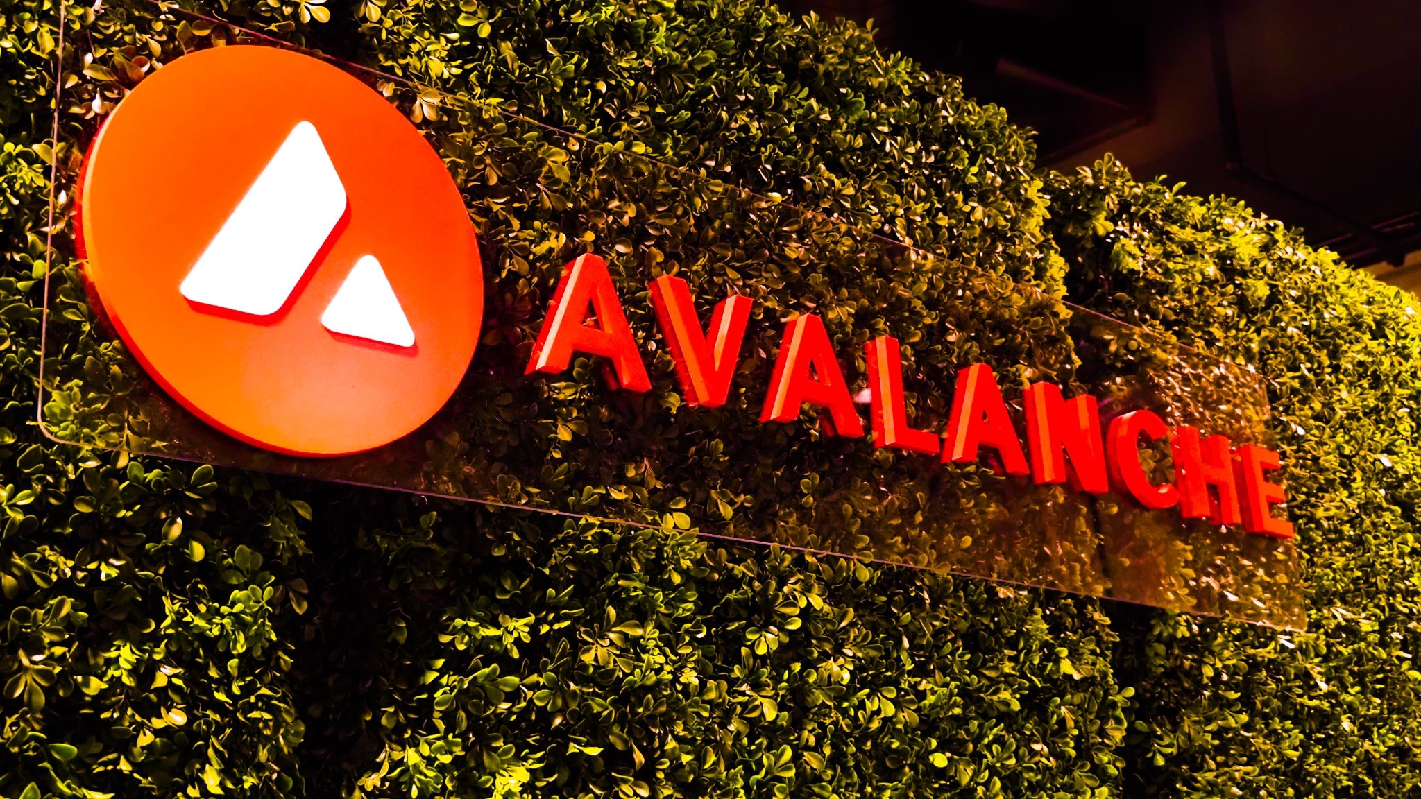 Avalanche Evergreen Subnets permissioned validators